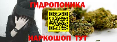 трава Будённовск