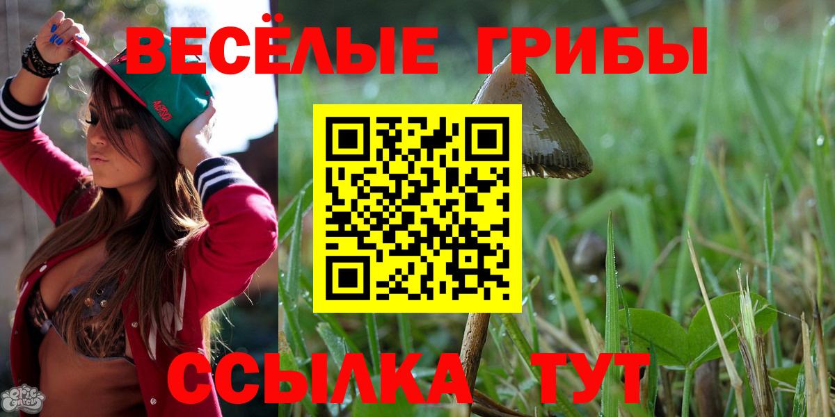 Минусинск  Галлюциногенные грибы Cubensis  Вход с VPN 